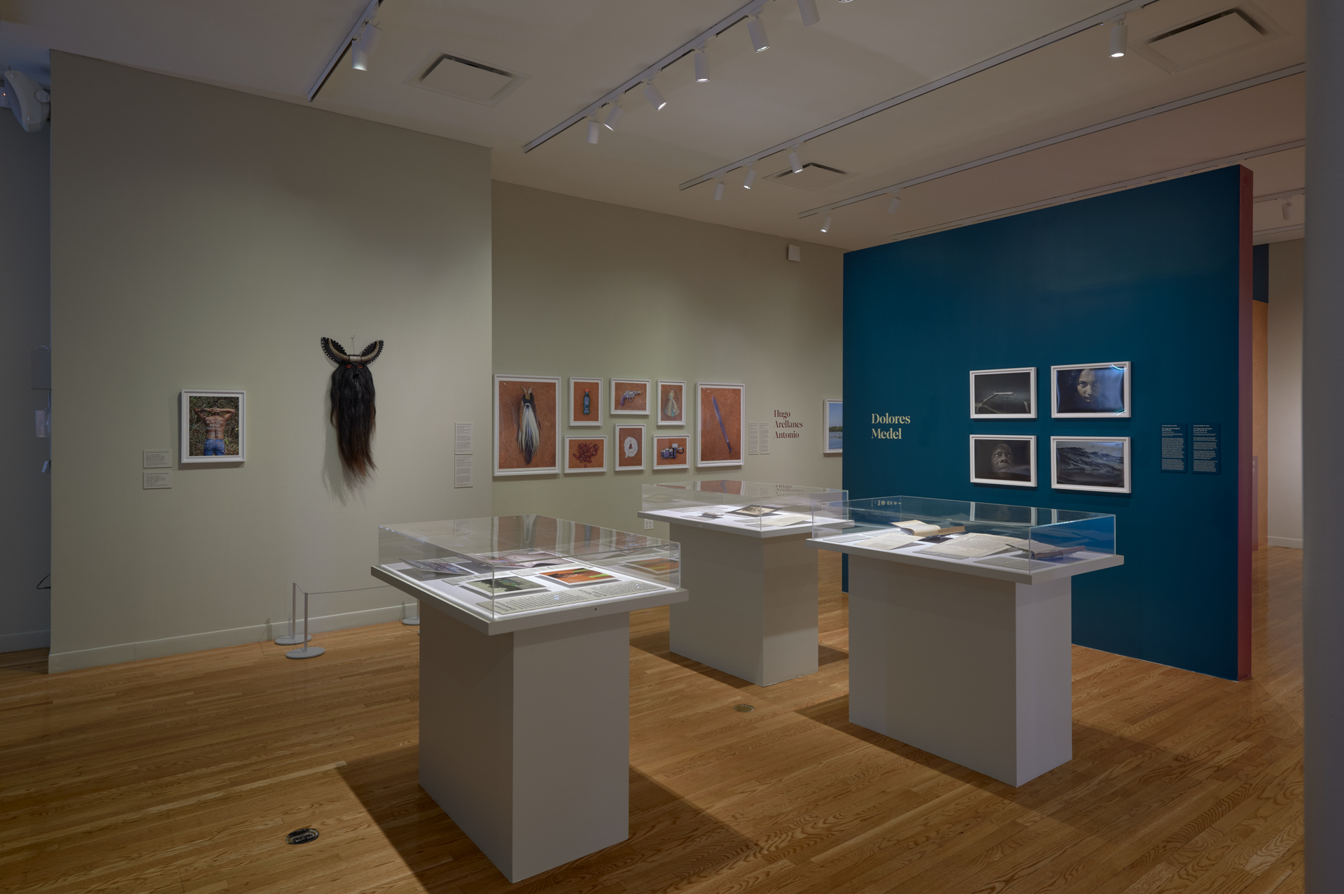 10_Schomburg_Visibility_and_Resistance_installation_view