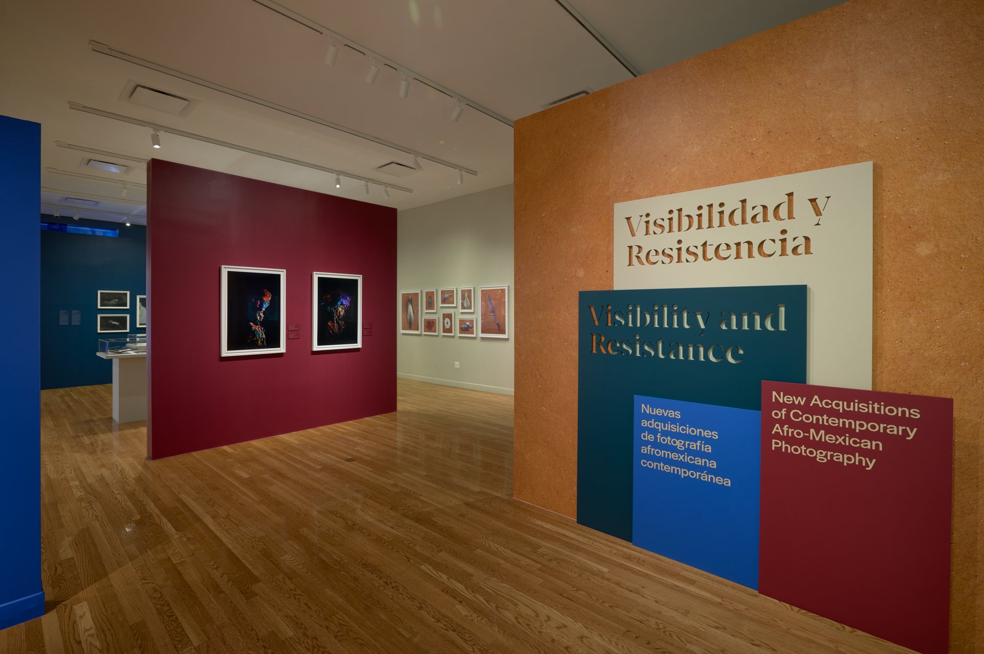 1_Schomburg_Visibility_and_Resistance_installation_view