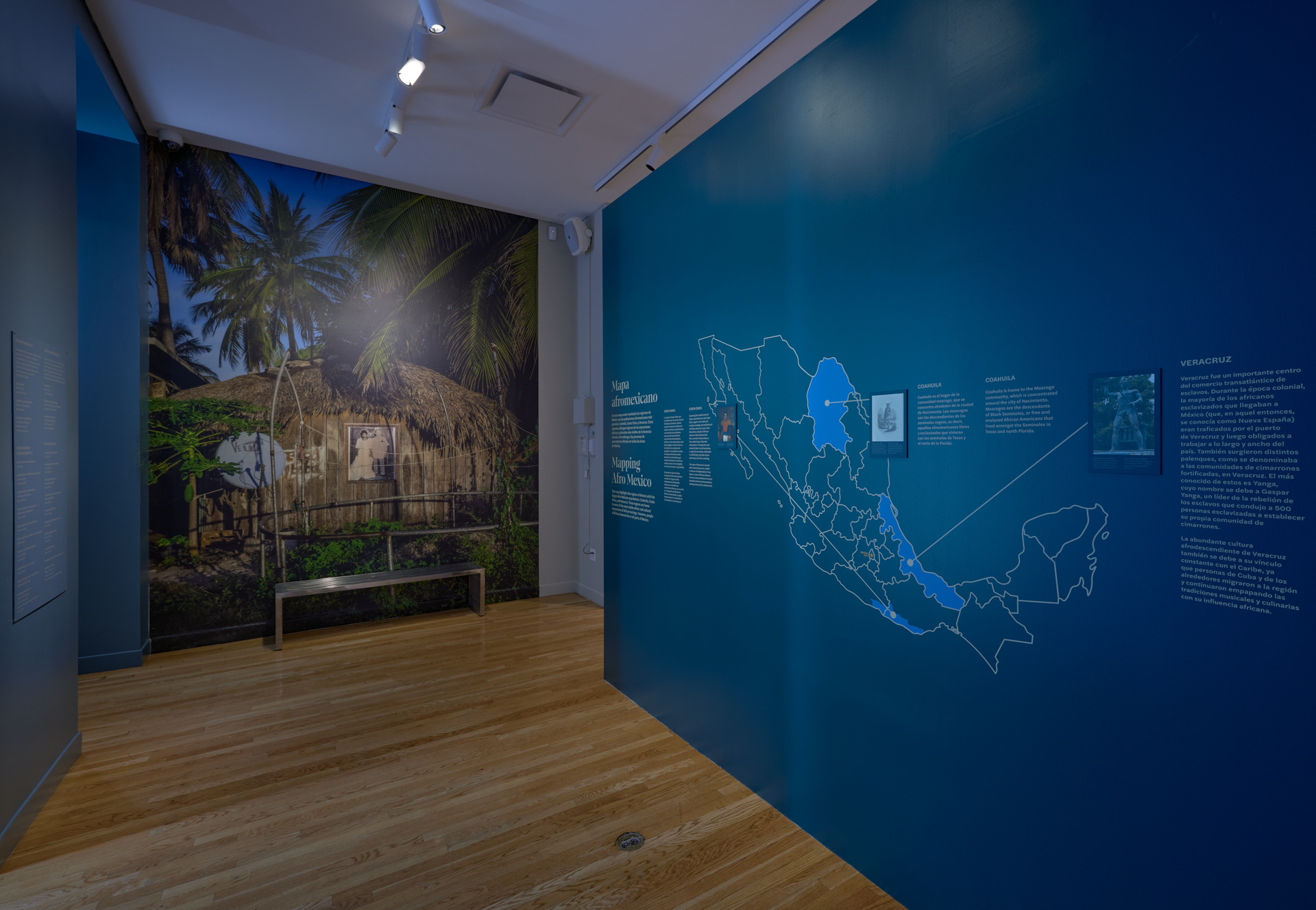29_Schomburg_Visibility_and_Resistance_installation_view